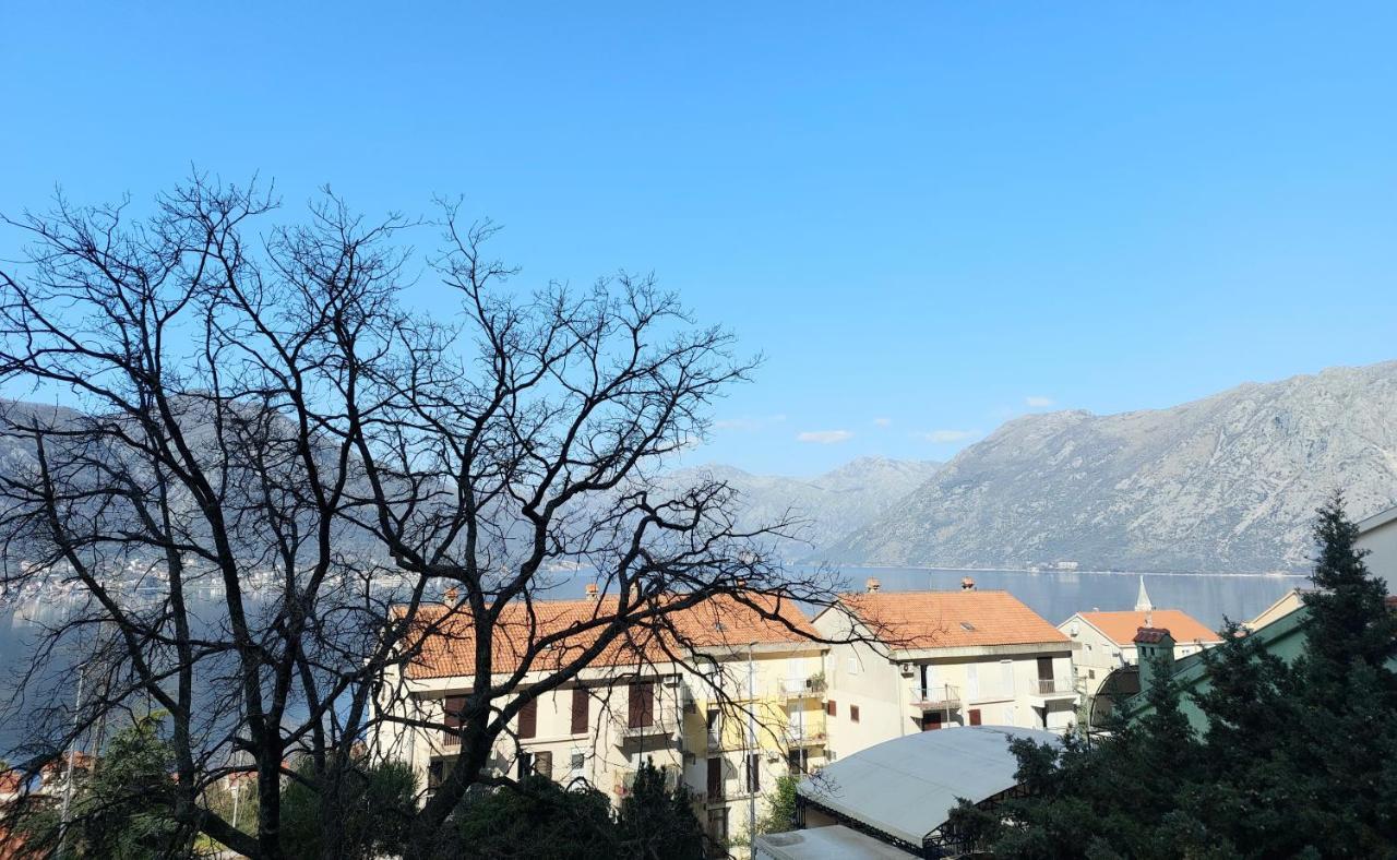 Apartman - Dobrota Sun Kotor Buitenkant foto